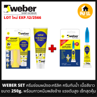 Weber ครีมซ่อมผนัง ครีมอะครีลิคเวเบอร์ อุดรอยแตกร้าว รอยคราบเปื้อน ขนาด 250g. พร้อม!! กาวพลังช้าง ติดหนึบแน่นรับแรงดันสูง เซ็ทสุดคุ้ม!