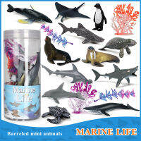 12Pcs Marine Wild ไดโนเสาร์ฟาร์มสวนสัตว์สัตว์ปีกสัตว์ชุด Action Figures Mini Shark Wheal ช้าง Figurines ของเล่นเพื่อการศึกษา Gift