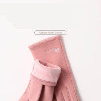 Autumn Winter Embroidery Letter Touch Screen Driving Mitten Women Velvet Cashmere Full Finger Warm Sport Cycling Glove F12