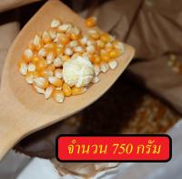 เมล็ดข้าวโพดดิบใช้ทำป็อปคอร์น ป๊อปคอร์นเม็ดกลม เมล็ดป๊อบคอน mushroom popcorn เมล็ดข้าวโพด ป๊อบคอร์น เมล็ดข้าวโพดmushroom ข้าวโพดคั่ว เมล็ดป๊อปคอร์นอันดับ1 ตรานกอินทรีย์ นำเข้าจากอเมริกา Non GMO ขนาด 750g.(สำหรับทำ ป๊อปคอร์นคาราเมล)