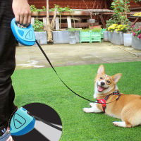 Streamer Led Lights Dog Leash Durable Nylon Walking Leash Automatic Extending Premium Retractable Traction Rope Products