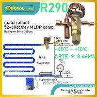 CCBXPJ-8.5kw R290 Tev Matches 3hp L/mbp Compressor Used In Commerce Refrigeration Equipments Such As Deli Cases Ice-Makers Etc.