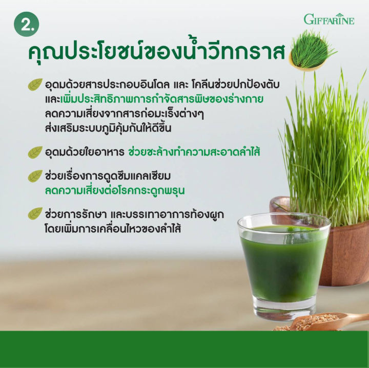 กิฟฟารีน-วีทกราส-giffarine-wheat-grass-เครื่องดื่มใบอ่อนข้าวสาลี-ช่วยในการสร้างเม็ดเลือด-เซต-บำรุงเลือด-รักษาโรคโลหิตจาง-เซต-2-ชิ้น