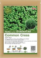 เมล็ดสมุนไพร ผักสลัดครีสส์ Herbs Common Cress บรรจุ 10 g.