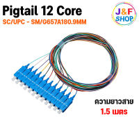 Fiber Optic Singlemode 9/125 simple SC/UPC optical Pigtail