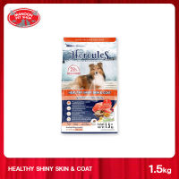 [MANOON] HERCULES HEALTHY SHINY SKIN&amp;COAT เฮอร์คิวลีส อาหารเม็ด สุนัขโต สูตรบำรุงผิวหนังและขน รสปลาแซลมอนและข้าวกล้อง 1.5kg.