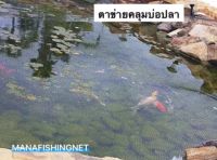 ตาข่ายคลุมบ่อปลา อ่างเลี้ยงปลา ในสวน ป้องกันนก ป้องกันใบไม้ล่วง ขนาด2x4เมตร Fish Pond Net