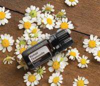 doTERRA Roman Chamomile โรมัน คาโมมายล์ 5ml หอมดุจผลแอปเปิ้ล หอมสดชื่น ปลุกใจ ใช้บนผิวก็หอม ปลอบประโลม บำรุงผิว ดูอ่อนเยาว์