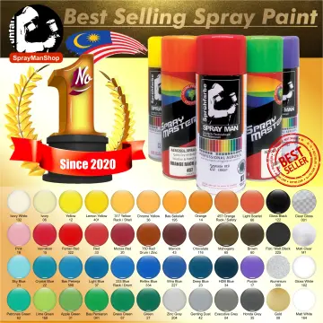 Removable Spray Paint 