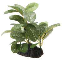 Mapiuo ต้นไม้พลาสติกพิพิธภัณฑ์สัตว์น้ำใต้น้ำ Ficus ชุดตกแต่งถังเลี้ยงปลาเครื่องประดับ