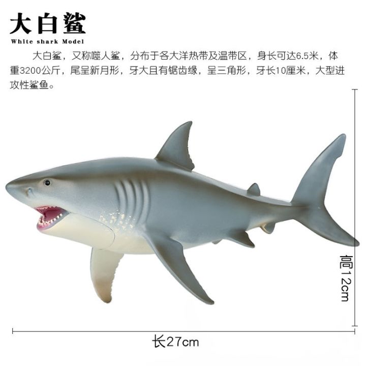 giant-specimens-simulation-model-of-marine-animals-the-great-white-sharks-hammerhead-sharks-whale-whale-shark-shark-toy