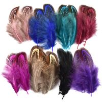 Colorful Small Ringneck Pheasant Feathers for Crafts 3-7cm Feather Decoration Carnaval Assesoires Plumes