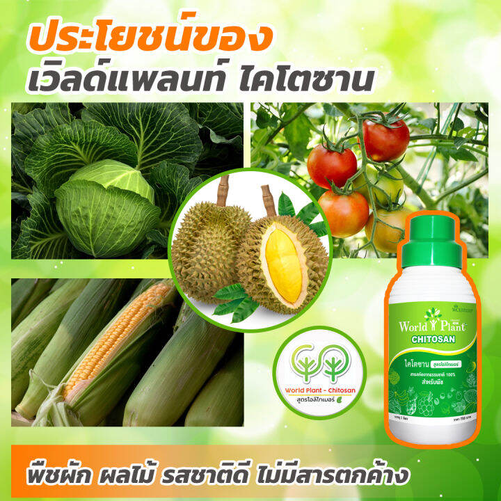 เวิลด์แพลนท์-ไคโตซาน-world-plant-chitosan-ปุ๋ยน้ำ-สูตรโอลิโกเมอร์-เพิ่มผลผลิต-เป็นมิตรกับเกษตรกร