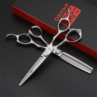 Professional Hairdressing Scissors 6 Inch Salon Hair Scissors Barber Cutting Scissors Thin Hairdressers Shears