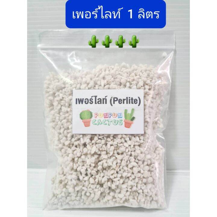 เพอร์ไลทฺ-1-ลิตร-ใช้ผสมวัสดุปลูก-ช่วยเพิ่มความร่วนโปร่งให้กับดิน