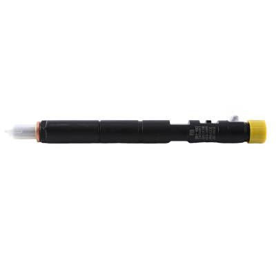 EJBR02501Z EJBR03001D Black Diesel Fuel Injector 33800-4X900 33801-4X900 for Kia Bongo 3 Euro3