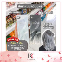 เซตสีผมเบอริน่า Berina hair color Set A21+A1 สีเทาหม่นควันบุหรี่  สีผมเบอริน่า สีย้อมผม ครีมย้อมผม