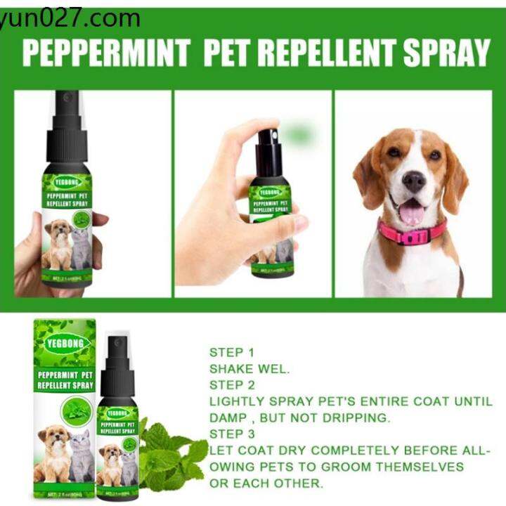 Flea medicine flea shampoo flea medicine for large dogs Pet mite