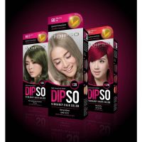 DIPSO ดิ๊พโซ่ ไวเบรนซี่ แฮร์ คัลเลอร์ ครีมเปลี่ยนสีผม สีย้อมผม ติดง่าย