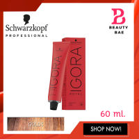 เฉพาะสี (กล่องแดง) โทนประกายทองSchwarzkopf Professional IGORA ROYAL Gold ชวาร์สคอฟ อีโกร่า รอเเยล