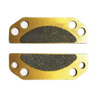 High Hardness Disc Brake Plate Parts 2pcs Motorcycle Parking Brake Pads 2203147 Motorcycle Modification Tool