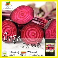 ซื้อ 1 แถม 1，50 เมล็ด (ไม่ใช่พืช)เมล็ดพันธุ์ บีทรูท เลือดกระทิง  Blood Beet เมล็ดพันธุ์แท้ นำเข้าจากต่างประเทศ ปลูกผัก สวนครัว ถูกดี โตไว