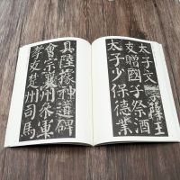 Tang Yan Zhenqing Yan Qinli Monument Yan style regular script practice copybook traditional translation brush calligraphy copybook imitation stele post