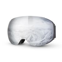 Snowmobile Eyewear Ski Goggles Anti-fog Double Layers UV400 Protection Skiing Skating Detachable Glasses Snowboard Goggles