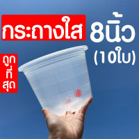 *กระถางใส* กระถางพลาสติกใส (8นิ้ว 10ใบ) กระถางต้นไม้ใส กระถางต้นไม้ กระถางพลาสติก กระถางสีใส กระถางส่องราก กระถางต้นไม้สีใส