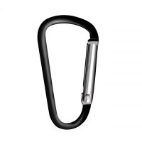 Aluminum Carabiner Key Chain Clip Outdoor Camping Keyring Snap Hook Buckle Travel Kit Climbing Earphone For Airpods Case