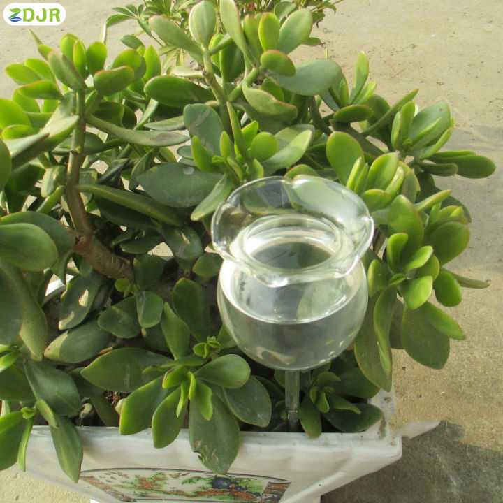 zdjr-ลูกโลกรดน้ำแก้วบอโรซิลิเกตทรงสูงที่ทนทานและโปร่งใสสำหรับกระถางพืชในบ้าน
