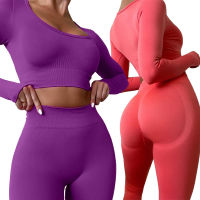 Seamless Sport Set Women Long Sleeve Crop Top Shirt Leggings Shorts Sportsuit Female Workout Outfit Fitness Gym Yoga Clothing