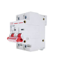 = ":{2P DC 250V-1000V MCB 80A 100A 125A Solar Mini Circuit Breaker Overload ไฟฟ้าโซลาร์เซลล์สำหรับระบบ PV 500V