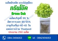 เมล็ดผักสลัด  ไม่เคลือบ 100- 250  เมล็ด  (ซื้อ 10 แถม 1)