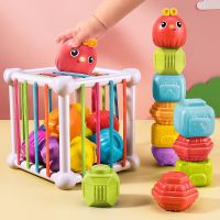 Baby Montessori Shape Sorting Toy Colorful Caterpillar Cube Motor Touch Skill Learning Educational Toys 10 Months- 3 Years Gift