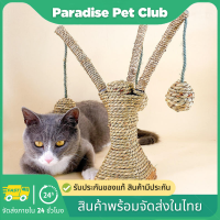 ?Paradise? ที่ลับเล็บแมว ที่ลับเล็บแมวแบบ 2 in 1 เสาลับเล็บแมว พร้อมของเล่นแมว ลูกบอลแมว อุปกรณ์เลี้ยงแมว  พร้อมส่ง