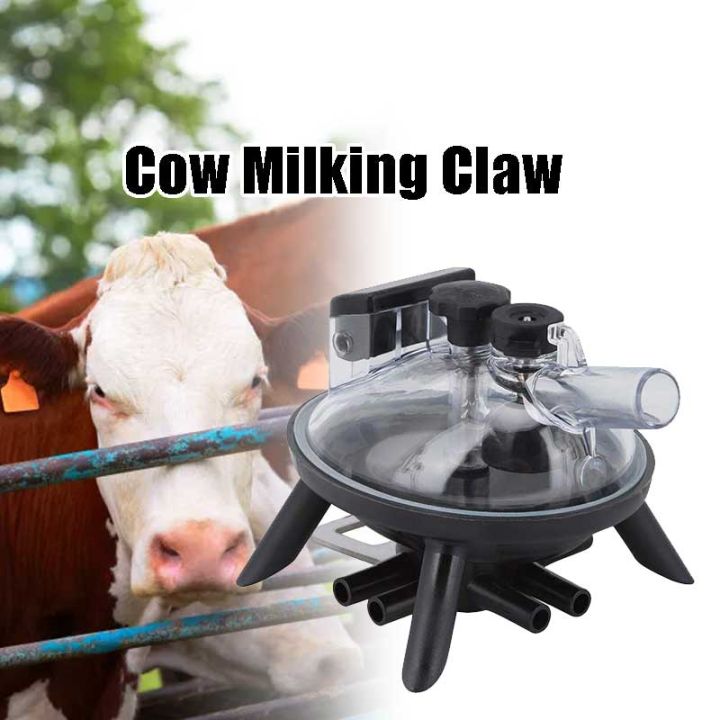 ลดกระหน่ำ-240cc-cow-ใช้รีดนม-claw-milk-collector-เครื่องมืออุปกรณ์เสริมสำหรับเครื่องรีดนมวัว-สำหรับเครื่องรีดนมวัว-อุปกรณ์รีดนมโค-ถ้วยรับน้ำนมวัว