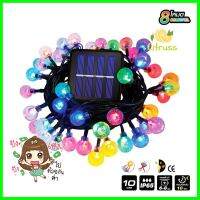 ไฟจัดสวน SOLAR HI-TEK HFSI005010 0.06 วัตต์ RGB สีดำSOLAR STRING LIGHT HI-TEK HFSI005010 0.06W RGB BLACK **บริการเก็บเงินปลายทาง**