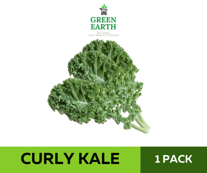 GREEN EARTH FRESH CURLY KALE 1 PACK (Approx. 250g) Lazada PH