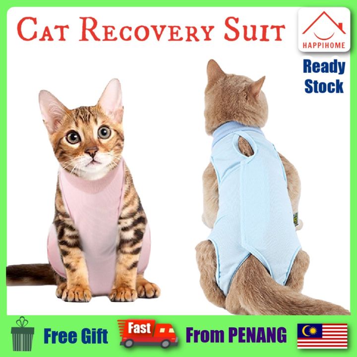 Kitten Cat Recovery Suit Anti Licking After Surgery Post Operative Bodysuit Jumpsuit Abdominal 6507