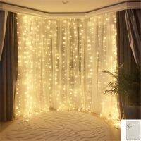 Memory 220V 4x2.5m Garland LED Curtain Icicle String Fairy Light EU Plug holiday Lighting Wedding party luces Indoor decor