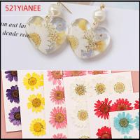 521YIANEE 12PCS/Bag งานฝีมือ DIY แต่งหน้า ศิลปะ กด การทำเครื่องประดับ เดซี่ดอกไม้ประดิษฐ์