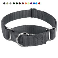 High quality Heavyduty Nylon Martingale Dog Collar Premium Safety Training Dog Martingale Collar For Dogs Adjustable Collar