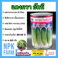 แตงกวา อัคนี ขนาด 25 กรัม ตะวันต้นกล้า ลอตใหม่ งอกดี ผลทรงกระบอก ผิวเรียบ หนามน้อย สีขาวนวล เนื้อแน่น กรอบและไส้ผลเล็ก ขายง่าย ตลาดชอบ