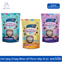 ✨? ล็อตใหม่ พร้อมส่ง!! ? Catnjoy Crispy Bites all Flavor 60g  10 ถุง แถมฟรี 2 ถุง (คละไม่ได้)แค็ทเอ็นจอย คริสปี้ไบทส์ ขนมสำหรับแมว ?เก็บเงินปลายทาง