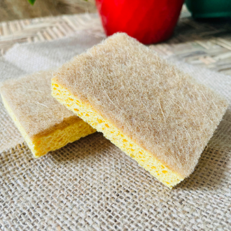 Coco Sponge | Lazada PH