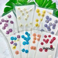 【พร้อมส่ง】ดอกเดซี่ขนาดเล็ก (Little Daisy)มี 8 สี ดอกไม้จริงทับแห้ง ดอกไม้ทับแห้ง ดอกไม้แห้ง Pressed Flowers?