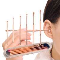 6pcs/set Ear Cleaner Set Earpick Ear Wax Removal Tool Earwax Digger Rose Golden Stainless Steel Earwax Remover