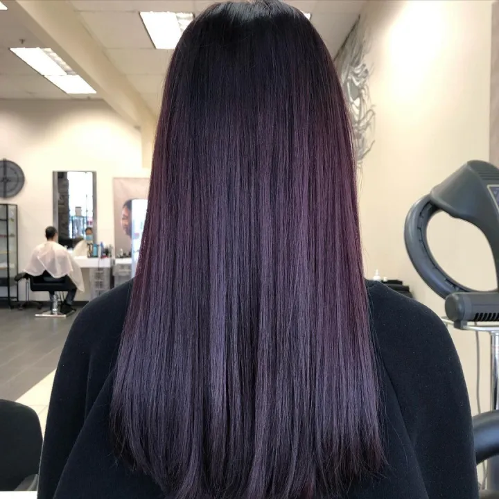 Direct Color no need bleach permanent hair coloring PURPLE AIBERGINE  fashion hair color Dark Purple Dark Violet Hair Color | Lazada PH