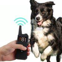 800M Electric Dog Training Collar Pet Remote Control Shock Vibration Waterproof Rechargeable Collar With LCD Display